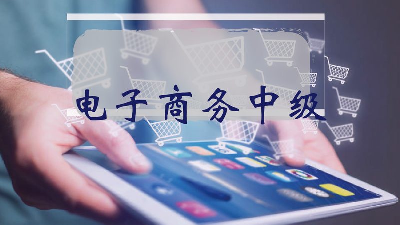 Shopify独立站搭建：揭秘高效流程与关键步骤
